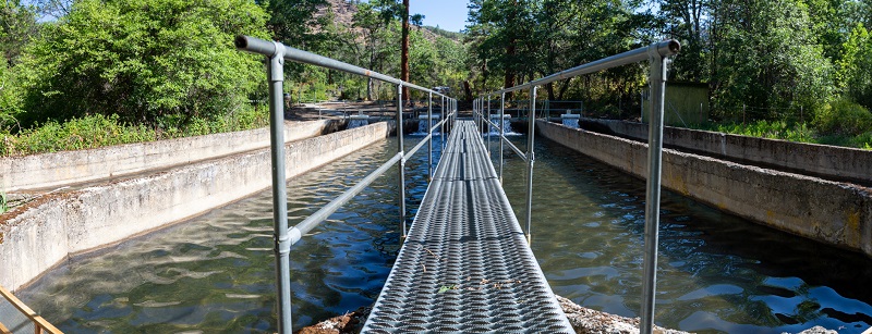 CDFW's Fall Creek satellite facility, its concrete raceways and cool water will host 170,000 Chinook salmon over the summer until the fish can be released into the Klamath River.